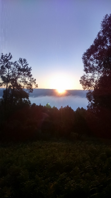 DSC_0081_1 (360x640)