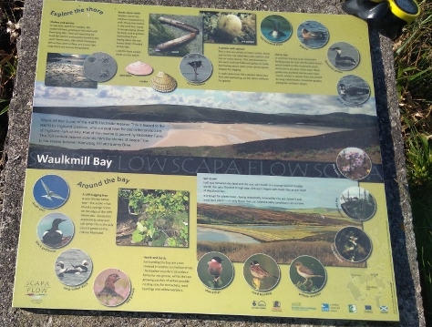 IMG_20180528_084608 (640x359)