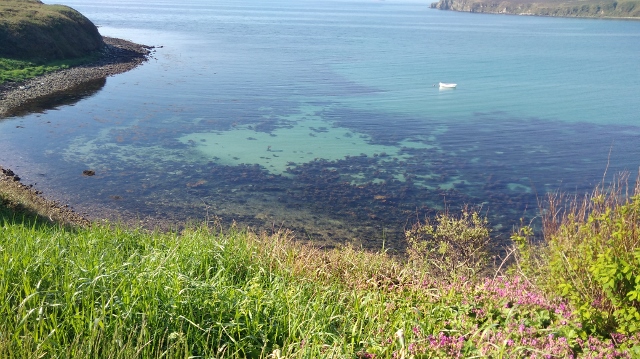 IMG_20180528_090210 (640x359)