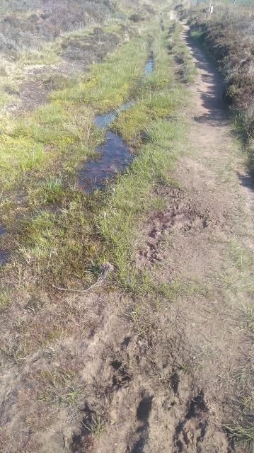 IMG_20180528_093623 (359x640)