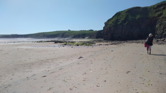 IMG_20180529_152050 (640x359)