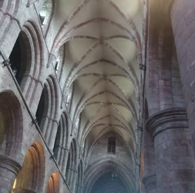 IMG_20180530_064633 (640x635)