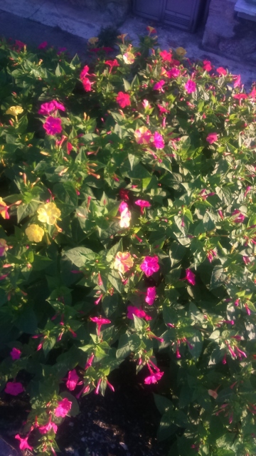 Spain autumn 2016 phone 660 (360x640)