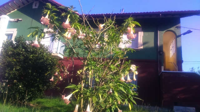 Spain autumn 2016 phone 661 (640x360)