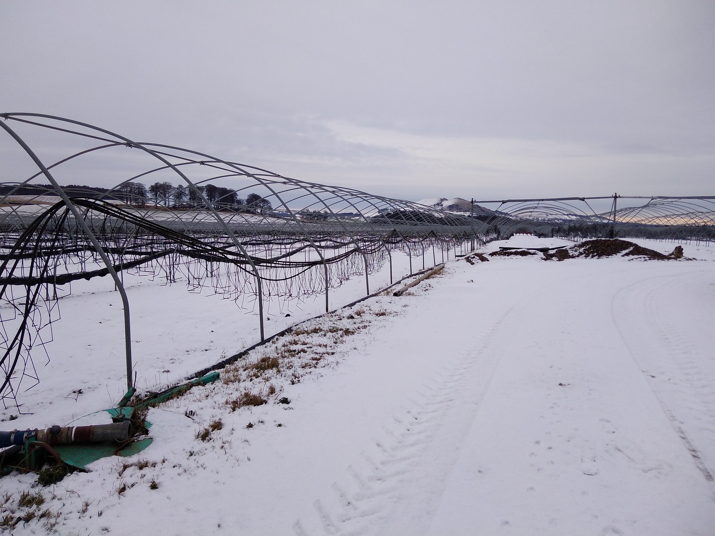 img_20180121_094148 (1)