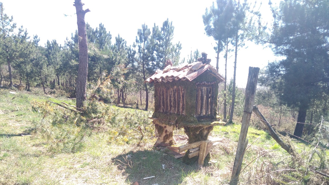 wp-1541977423120..jpg