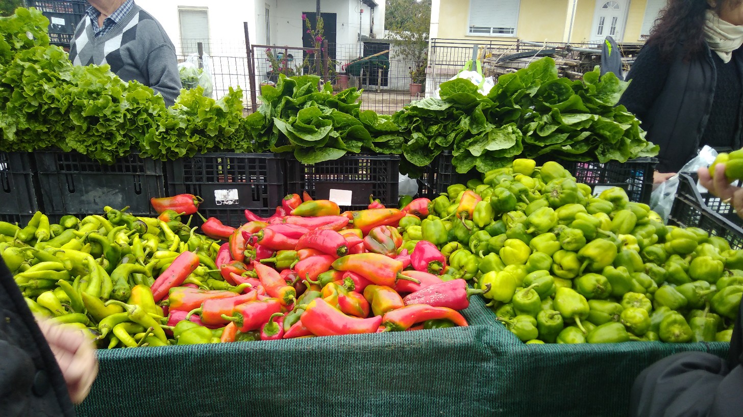 Shiny red and green peppers on a market stall in Greece