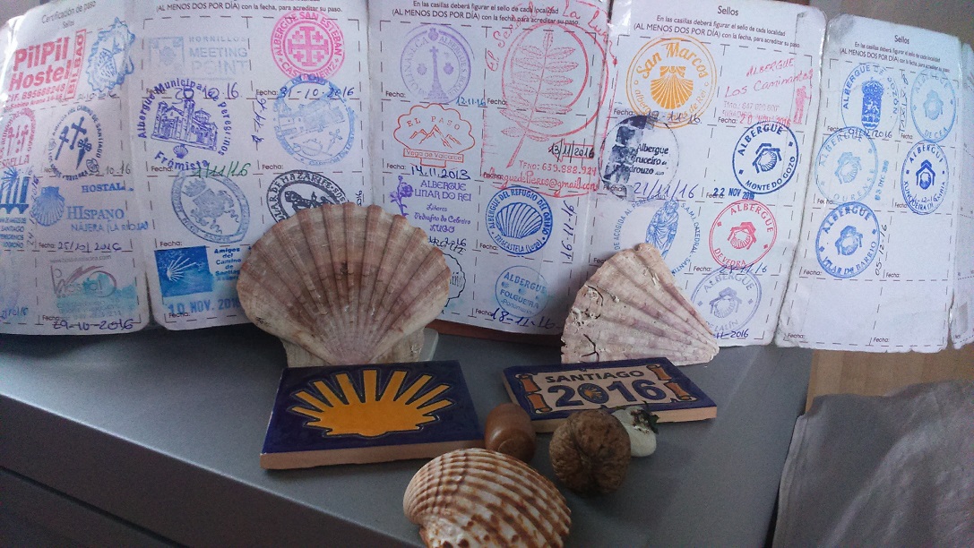 Camino shell and credential