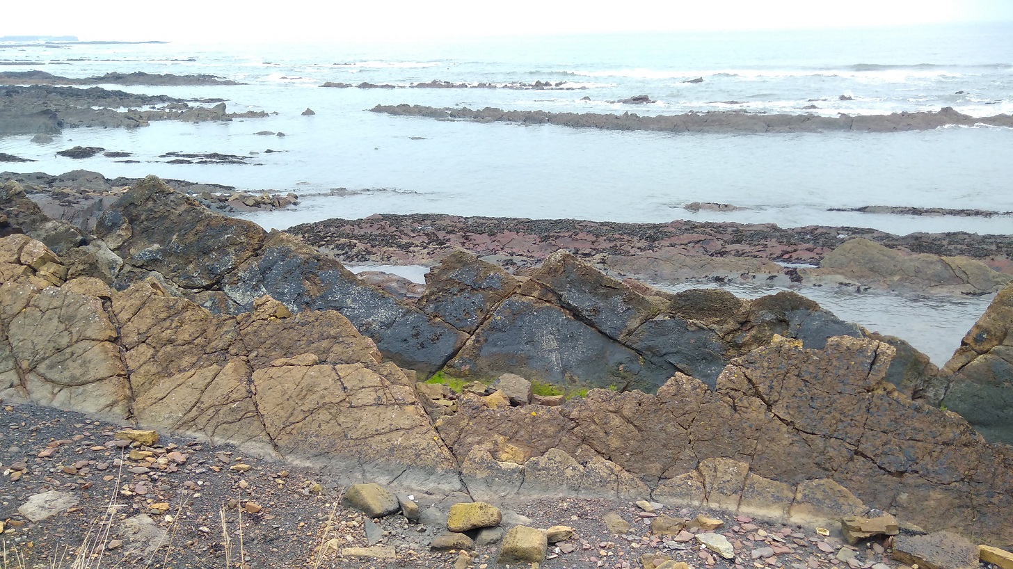 IMG_20190119_101334 (1)