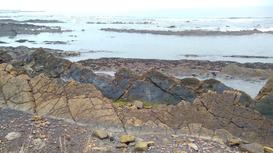 IMG_20190119_101334 (1)