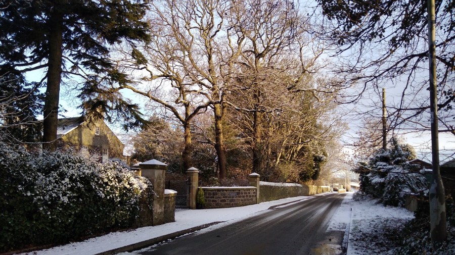 IMG_20190202_090617 (1)