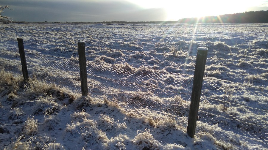 IMG_20190202_092049 (1)