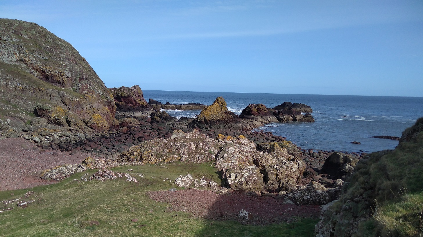 IMG_20190325_130850 (1)