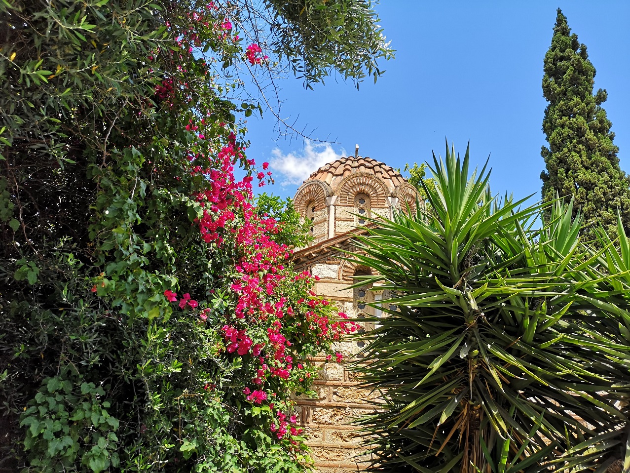 The domed roof of a very old Greek Orthodox Church amongst pretty bouganvillia and spiky trees