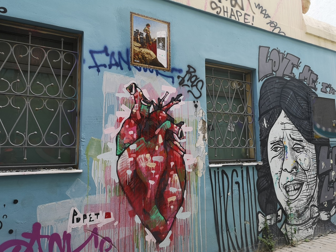 Red, green and white painted heart organ with blood vessels