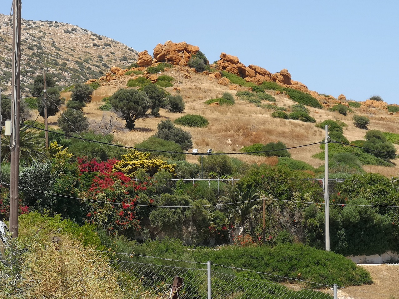 Mountainsides with olive trees, crags and flowers