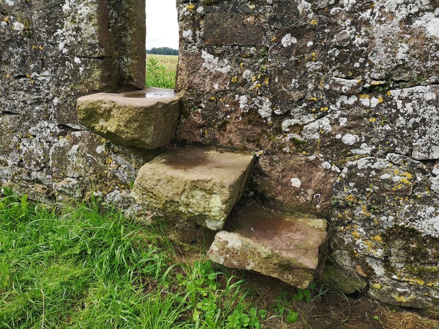 Landscape between the stones
