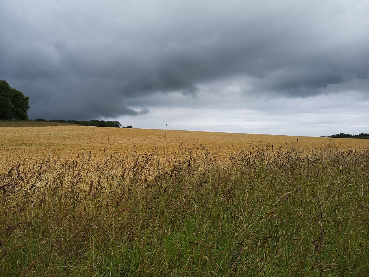 Dark brooding clouds in East Lothian