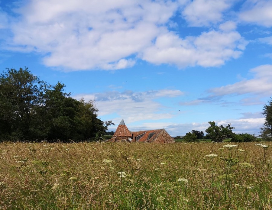 Red brick building seen across a wildflower meadow