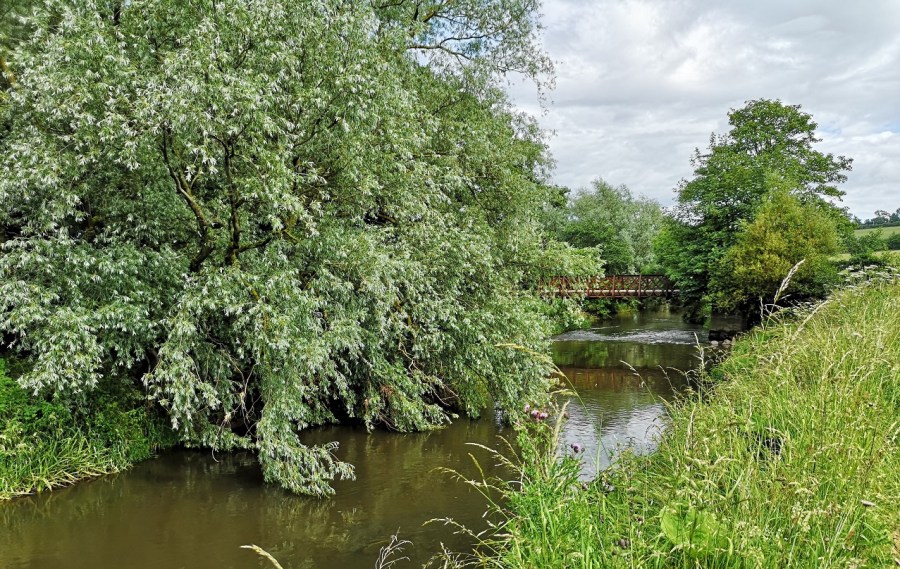 River reflections with bridge