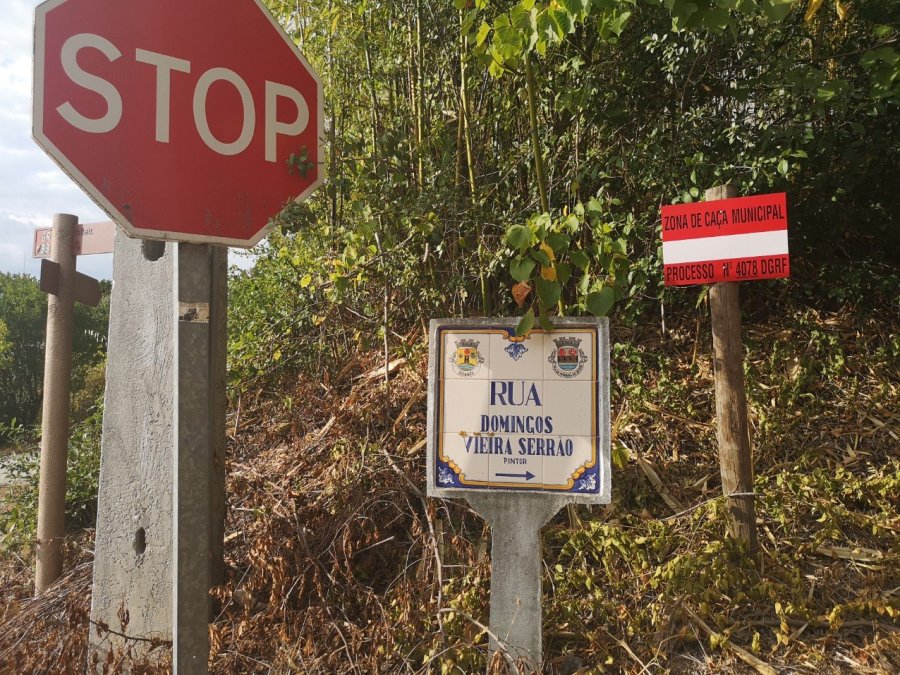 Stop sign, Rua Domingos Viera Serrao