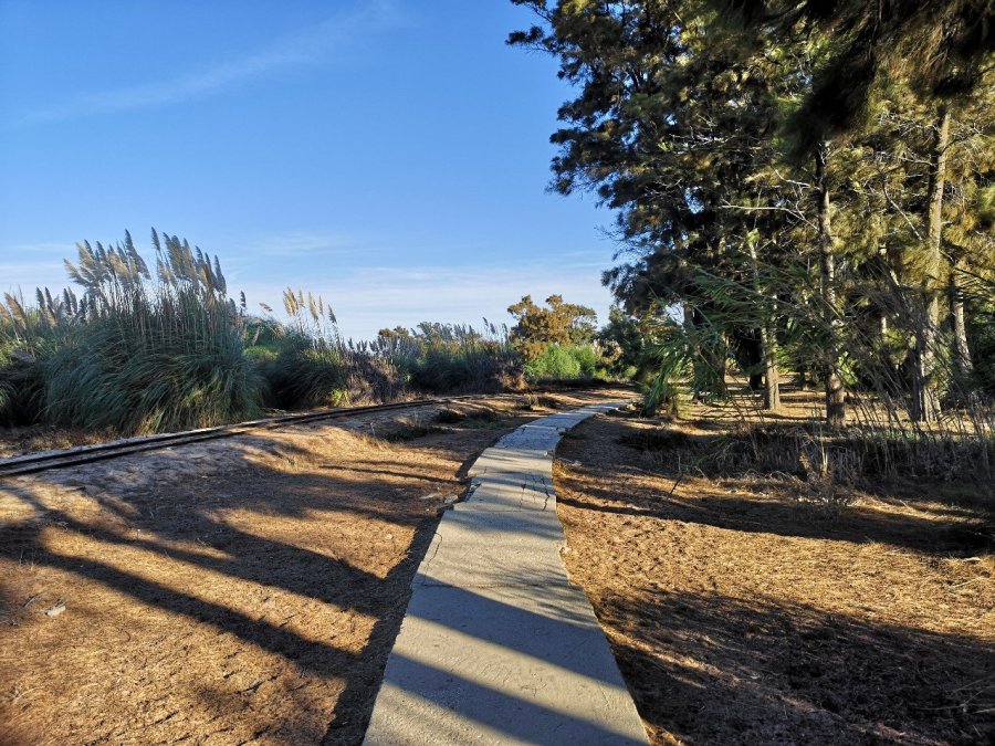 path in woods Praia do Barril beach