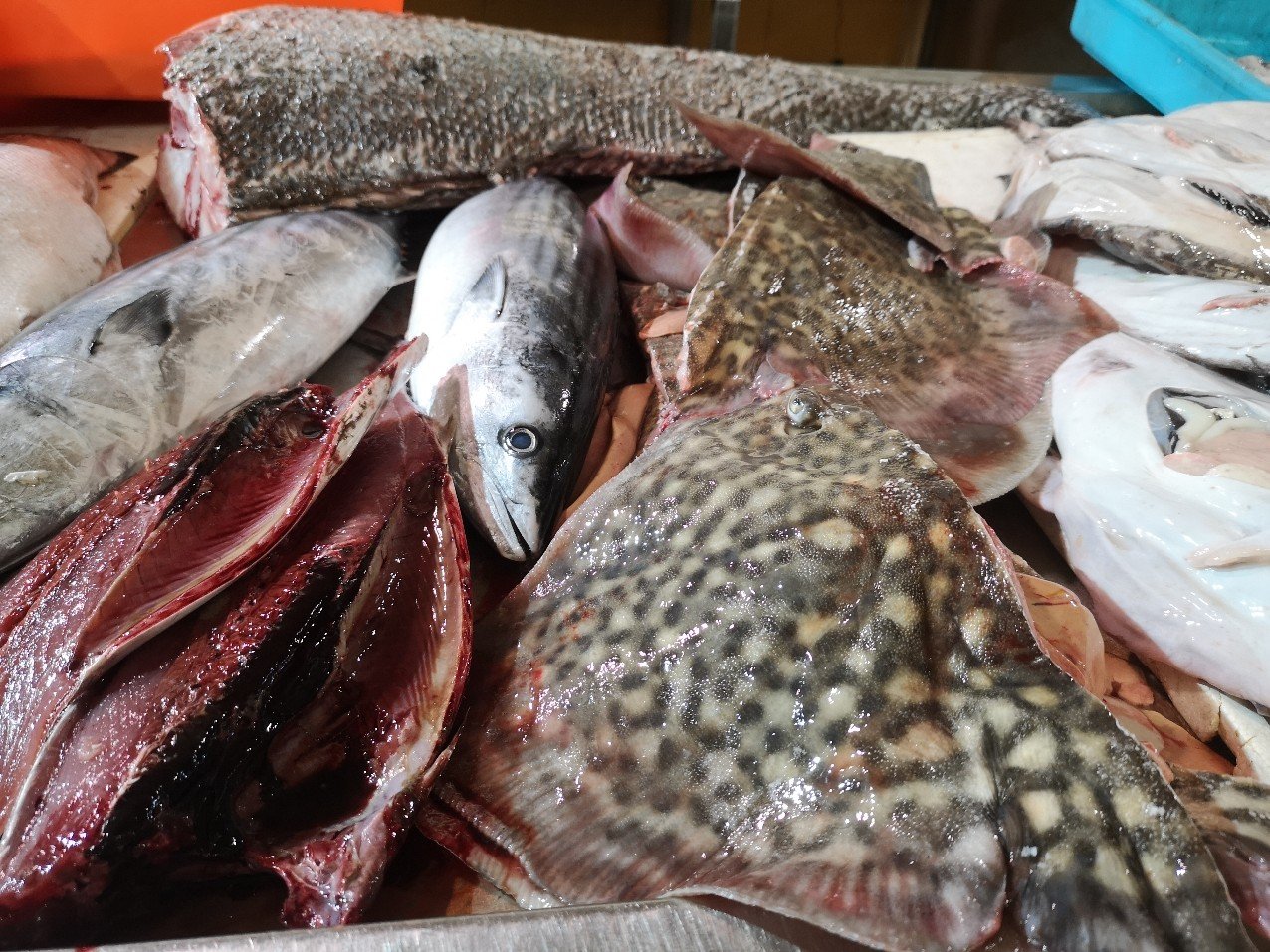 Fish on market stall Tavira