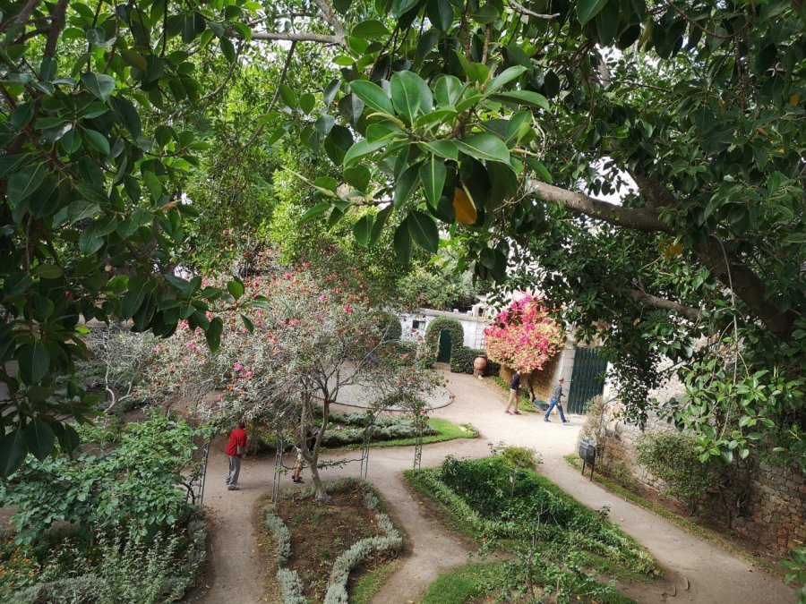 overhead view gardens Castelo do Tavira