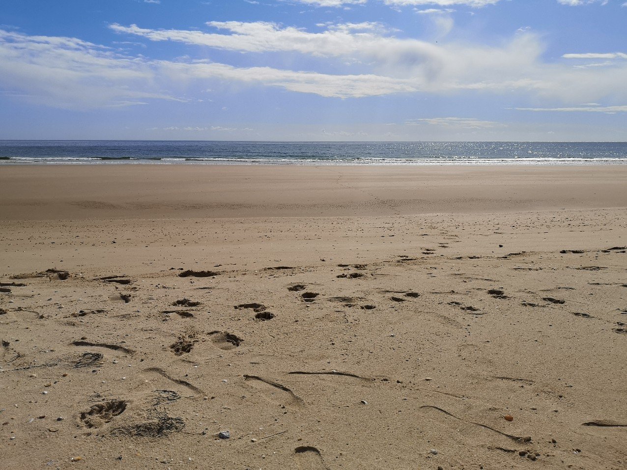 sand and sea Casela Velha Portugal