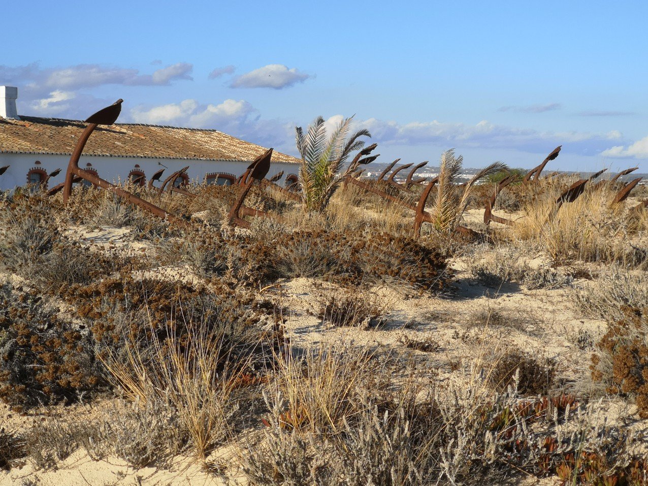 anchors in the sand Praia do barril beach