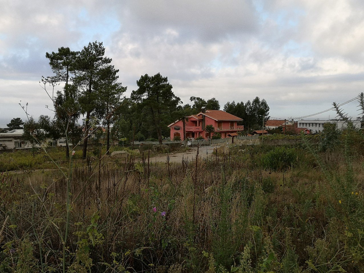 Portuguese landscape