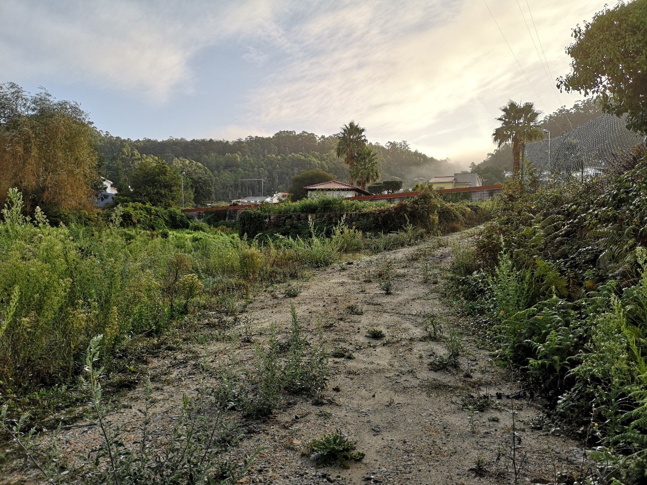 Portuguese landscape