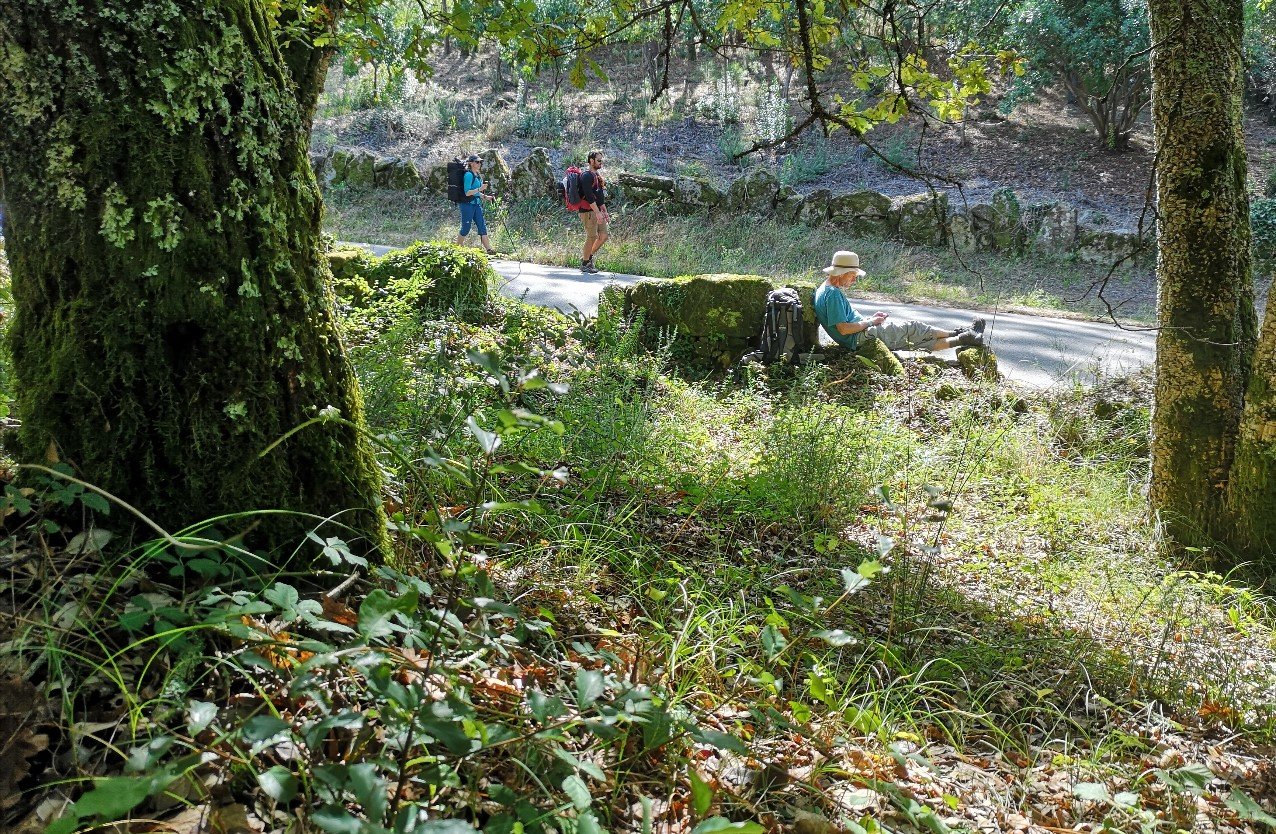 pilgrims woods Portugal