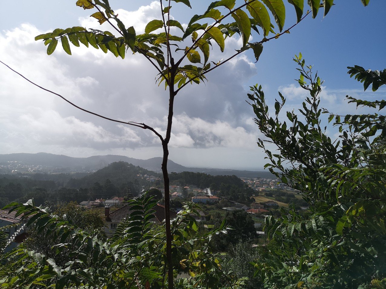 Portuguese landscape and weather