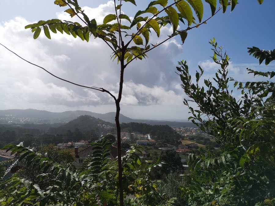 Portuguese landscape and weather
