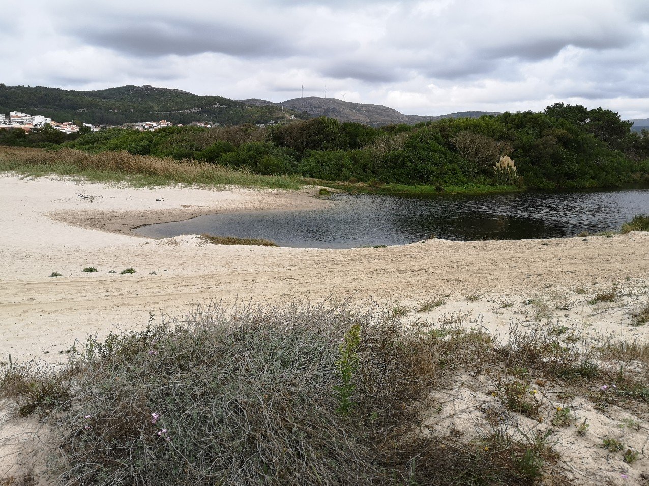 dunes and inland water Portugal