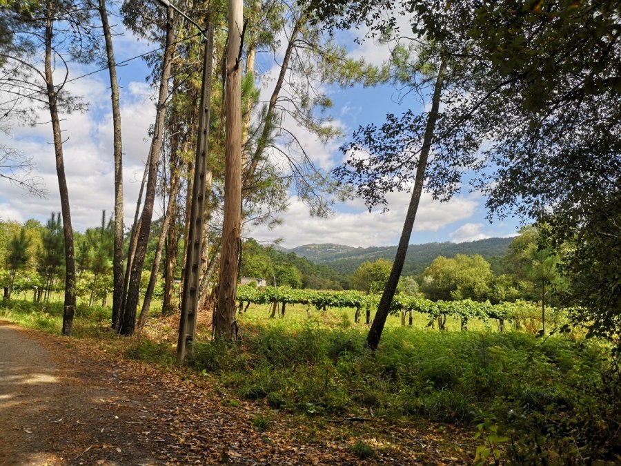 rural Spanish Galician landscape