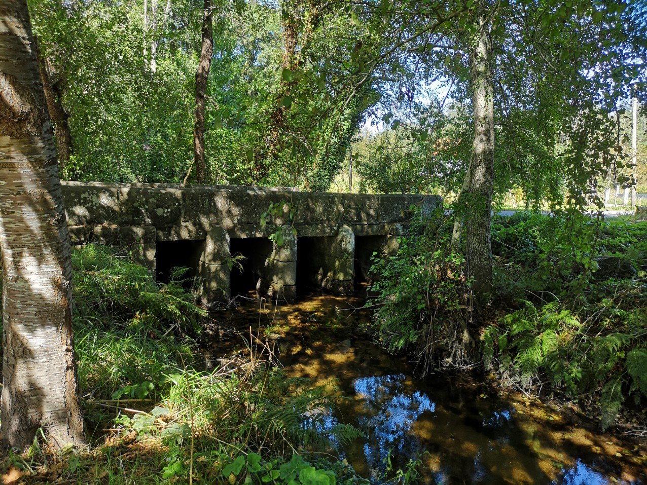 stone bridge Rio Tomeza Spain