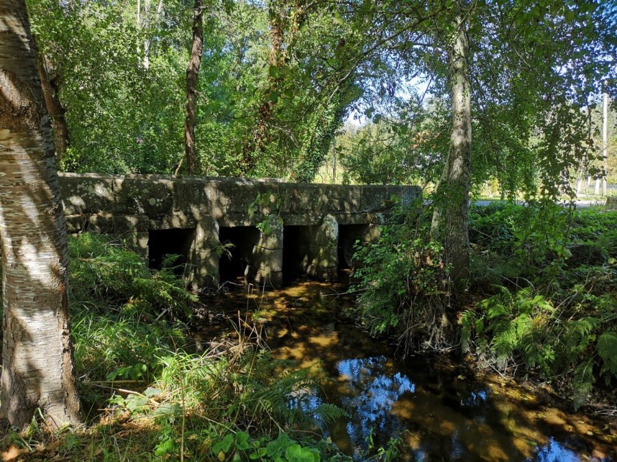 stone bridge Rio Tomeza Spain