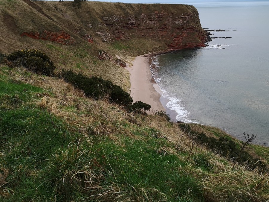 Beach cusps link to Coastal Wiki