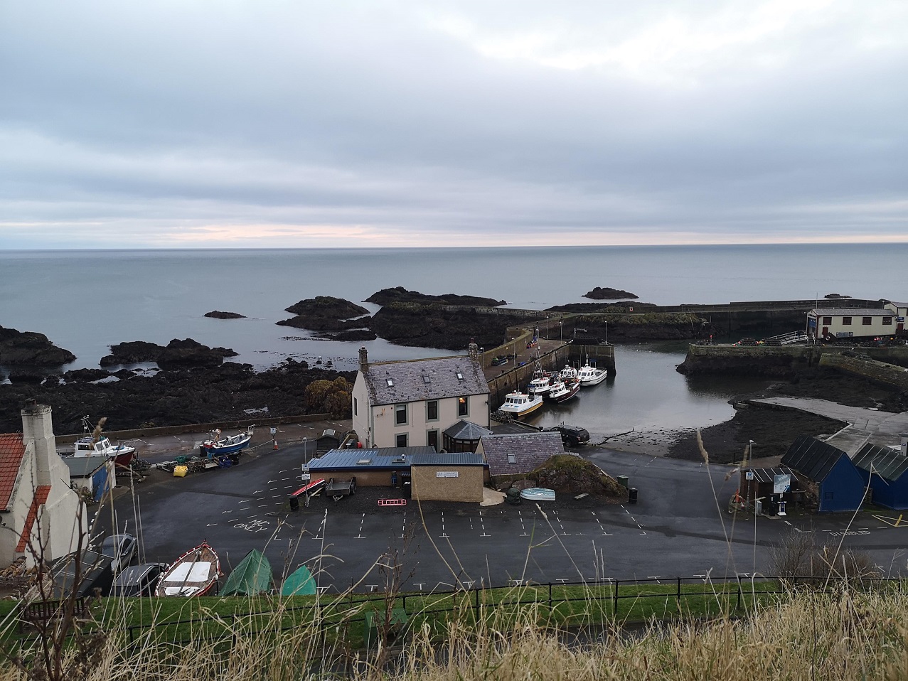 IMG_20200125_082821 (1)